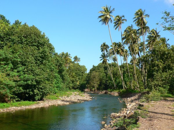 71- La riviere conduisant au hameau de Hakaui 